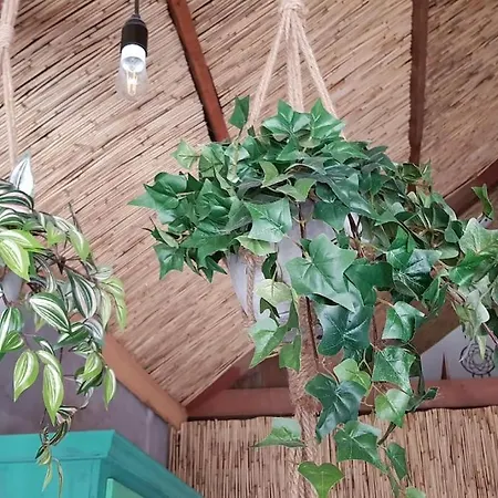 Balistyle Incl Hottub Near Amsterdam And Haarlem フェルゼン・ザイト