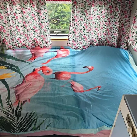 Balistyle Incl Hottub Near Amsterdam And Haarlem 別荘